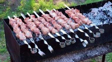 Barbekü pişirirken, şişte taze et parçaları.