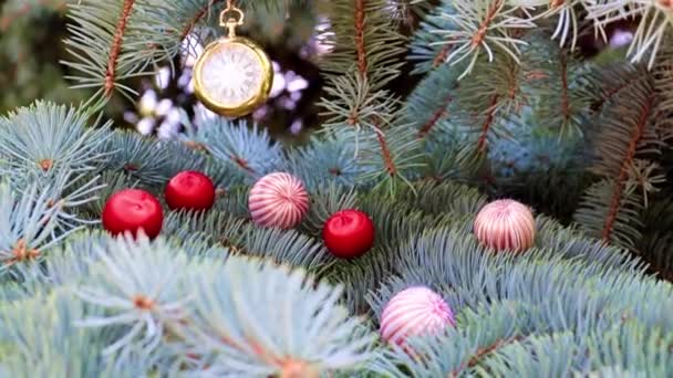 Taschenuhr Und Weihnachtsschmuck Auf Tannenzweigen — Stockvideo