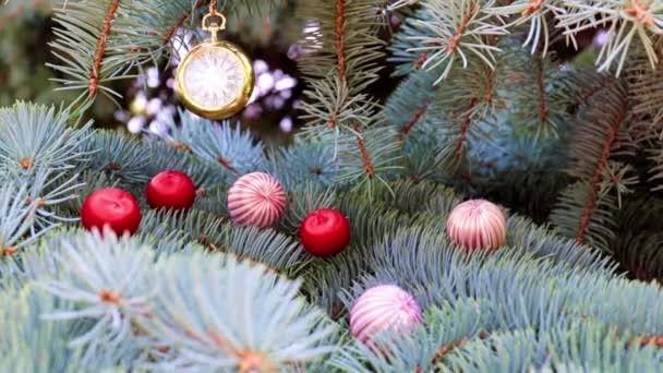 Montre Poche Précieuse Décorations Noël Sur Branches Sapin — Video