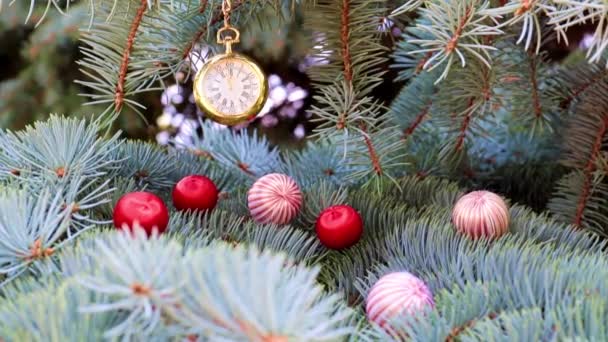 Taschenuhr Und Weihnachtsschmuck Auf Tannenzweigen — Stockvideo