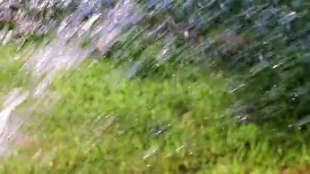 Stormiga Forsande Ström Vatten Faller Det Gröna Gräset Gräsmattan — Stockvideo