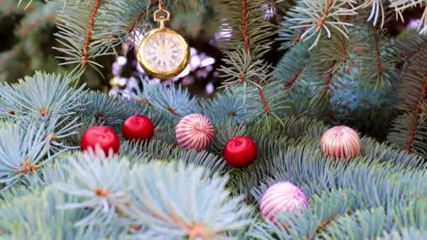 Taschenuhr Und Weihnachtsschmuck Auf Tannenzweigen — Stockvideo