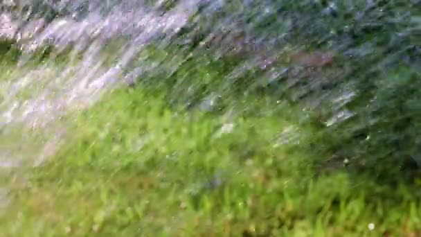 Torrente Tempestoso Acqua Precipita Sull Erba Verde Del Prato — Video Stock