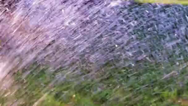 Torrente Tempestoso Acqua Precipita Sull Erba Verde Del Prato — Video Stock