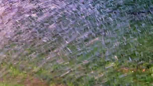 芝生の緑の芝生の上に水が流れ落ちる嵐 — ストック動画