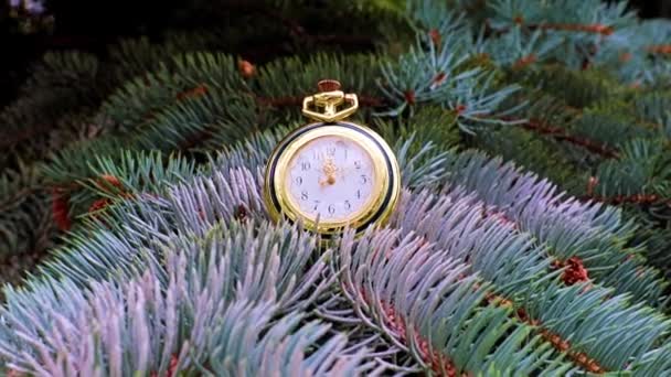 Orologio Tasca Antico Una Cassa Oro Trovano Ramo Albero Natale — Video Stock