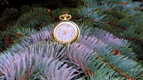 Pocket Antique Watch Gold Case Lie Branch Christmas Tree — Stock Video