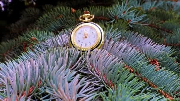Altın Bir Çantanın Içindeki Antika Saat Bir Noel Ağacının Dalında — Stok video