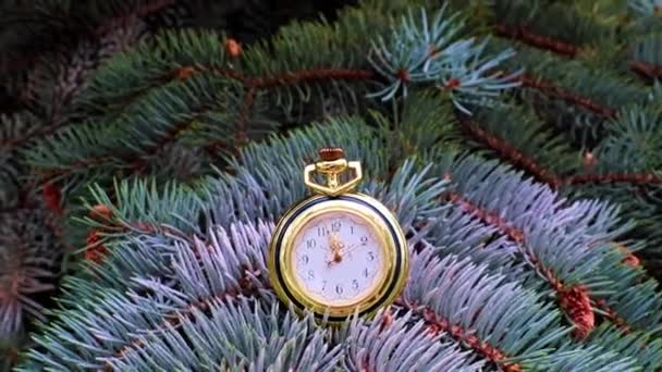 金のケースの中の懐中時計はクリスマスツリーの枝の上にある — ストック動画