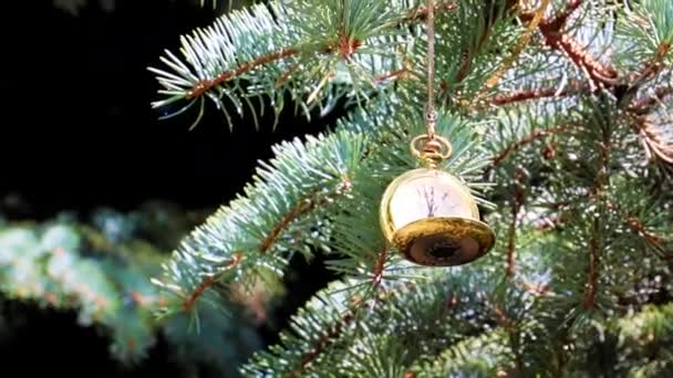 一只金盒子里的怀旧怀表放在圣诞树的树枝上 — 图库视频影像