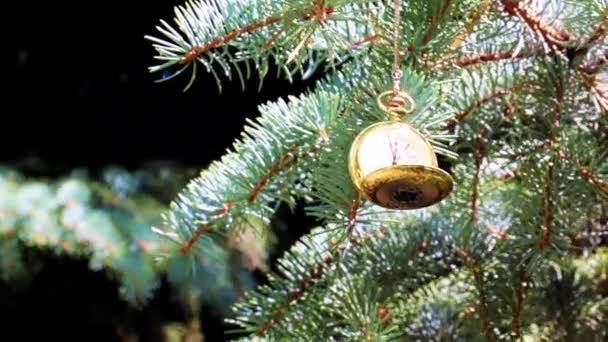 Orologio Tasca Antico Una Cassa Oro Trovano Ramo Albero Natale — Video Stock