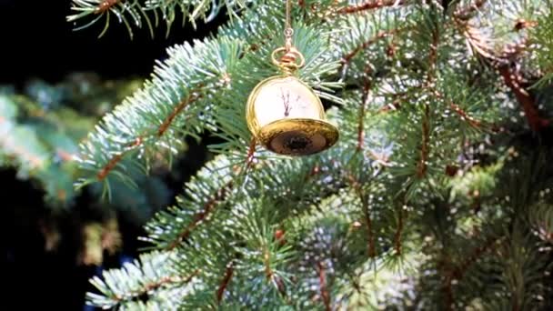 一只金盒子里的怀旧怀表放在圣诞树的树枝上 — 图库视频影像