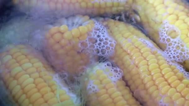 Proces Vaření Čerstvého Kukuřičného Ucha — Stock video