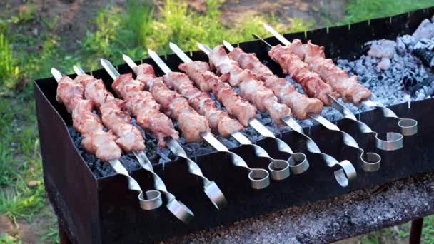 Morceaux Viande Juteux Frais Sur Brochettes Pendant Cuisson Barbecue — Video