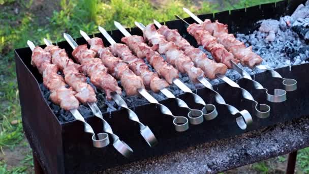 Friss Szaftos Húsdarabok Nyársra Sütés Közben Barbecue — Stock videók