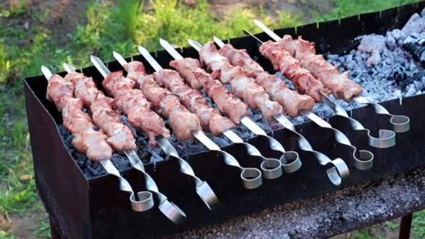 Cortes Jugosos Frescos Carne Pinchos Mientras Cocina Barbacoa — Vídeos de Stock