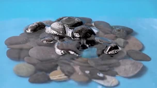 Прозрачная Капля Чистой Воды Падает Груду Камней — стоковое видео