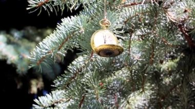 Yılbaşı ağacı dalında asılı antika bir cep saati.