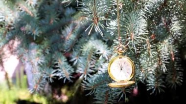 Bir çam ağacının dalında asılı duran altın bir çantadaki antika bir cep saati.