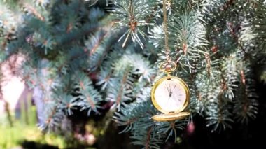 Bir çam ağacının dalında asılı duran altın bir çantadaki antika bir cep saati.