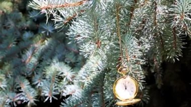 Bir çam ağacının dalında asılı duran altın bir çantadaki antika bir cep saati.