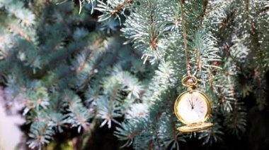 Bir çam ağacının dalında asılı duran altın bir çantadaki antika bir cep saati.