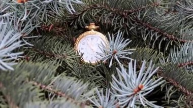 Altın bir kutuda eski bir cep saati ve Noel ağacının dalları
