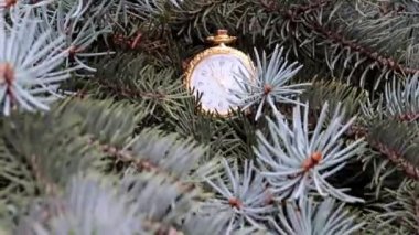 Altın bir kutuda eski bir cep saati ve Noel ağacının dalları