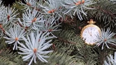 Altın bir kutuda eski bir cep saati ve Noel ağacının dalları