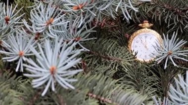 Altın bir kutuda eski bir cep saati ve Noel ağacının dalları