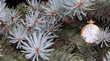 Altın bir kutuda eski bir cep saati ve Noel ağacının dalları