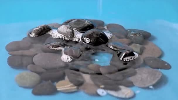 一滴透明的纯净水落在一堆石头上 — 图库视频影像