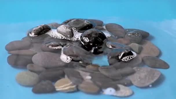 一滴透明的纯净水落在一堆石头上 — 图库视频影像