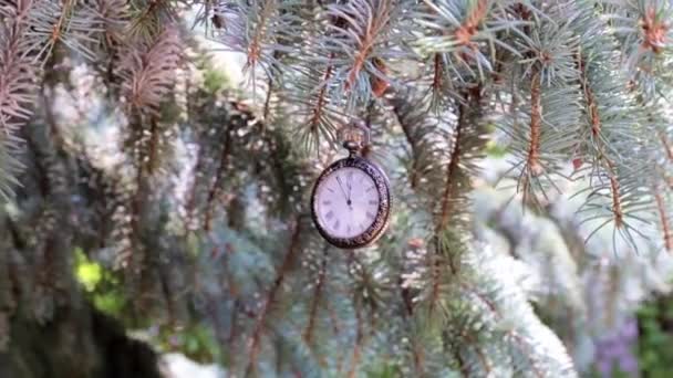 Vintage Antike Taschenuhr Hängt Einem Ast Des Weihnachtsbaums — Stockvideo