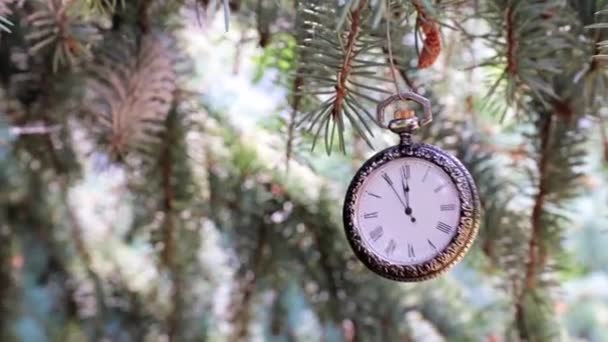Vintage Antike Taschenuhr Hängt Einem Ast Des Weihnachtsbaums — Stockvideo