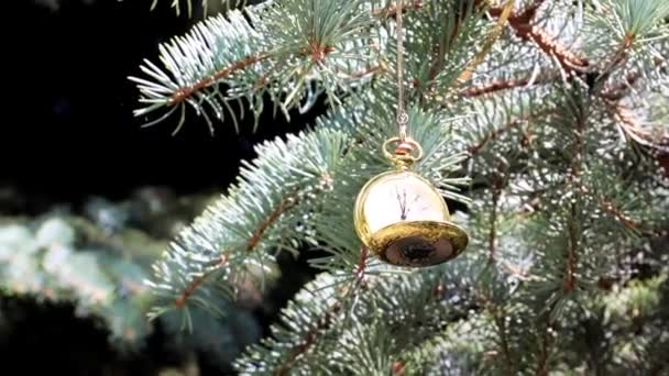 Παλιό Ρολόι Τσέπης Αντίκα Κρέμεται Ένα Κλαδί Χριστουγεννιάτικο Δέντρο — Αρχείο Βίντεο