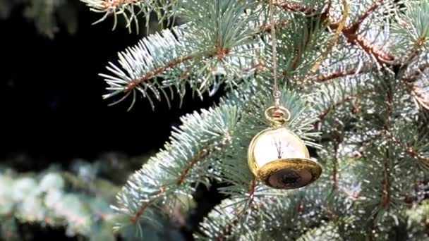 Vintage Antieke Zakhorloge Opknoping Een Kerstboom Tak — Stockvideo