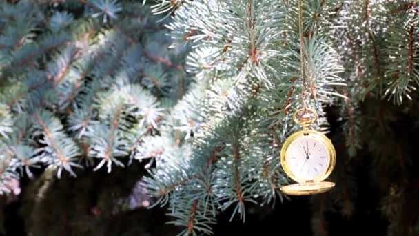 Starožitné Kapesní Hodinky Zlatém Pouzdře Zavěšeném Větvi Novoroční Borovice — Stock video