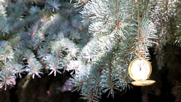 Антикварные Карманные Часы Золотом Чехле Висящем Ветке Новогодней Сосны — стоковое видео