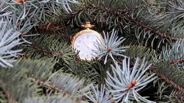 Vintage Taschenuhr Einem Goldenen Gehäuse Und Zweige Des Weihnachtsbaums — Stockvideo