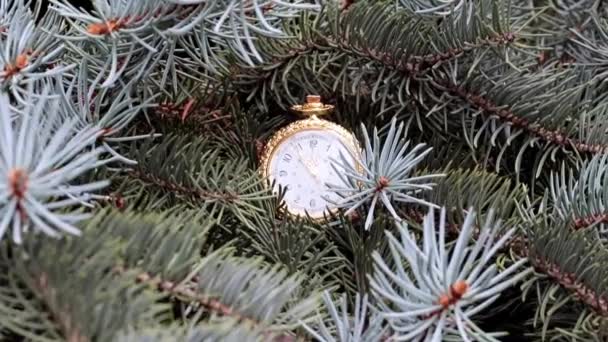 Reloj Bolsillo Vintage Una Caja Oro Ramas Árbol Navidad — Vídeos de Stock
