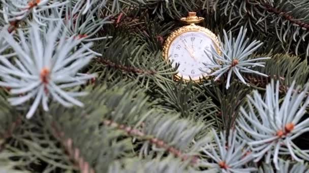 ゴールドケースとクリスマスツリーの枝でヴィンテージポケットウォッチ — ストック動画