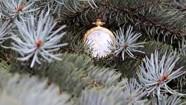 Reloj Bolsillo Vintage Una Caja Oro Ramas Árbol Navidad — Vídeos de Stock