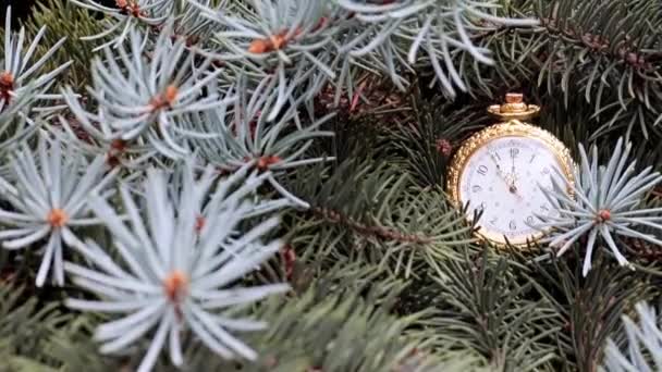 Relógio Bolso Vintage Uma Caixa Ouro Ramos Árvore Natal — Vídeo de Stock