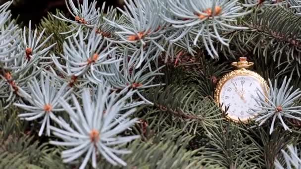 Reloj Bolsillo Vintage Una Caja Oro Ramas Árbol Navidad — Vídeos de Stock