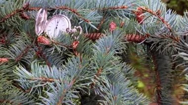 Noel ağacının dalında duran antika cep saati.