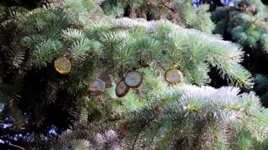 Bir Noel ağacının dalında asılı nefis bir klasik cep saati.