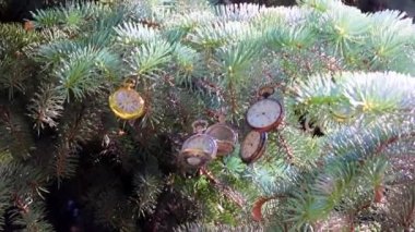 Bir Noel ağacının dalında asılı nefis bir klasik cep saati.