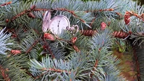 Antieke Zakhorloge Liggend Een Tak Van Een Feestelijke Kerstboom — Stockvideo