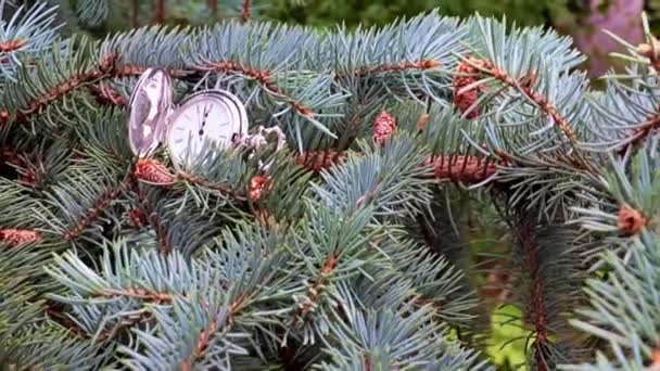 Antieke Zakhorloge Liggend Een Tak Van Een Feestelijke Kerstboom — Stockvideo